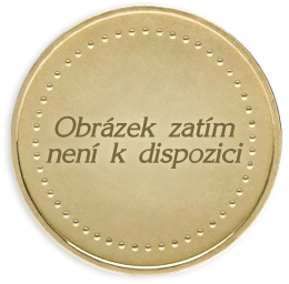 Zlatá mince 5000 Kč 2025 Město Tábor